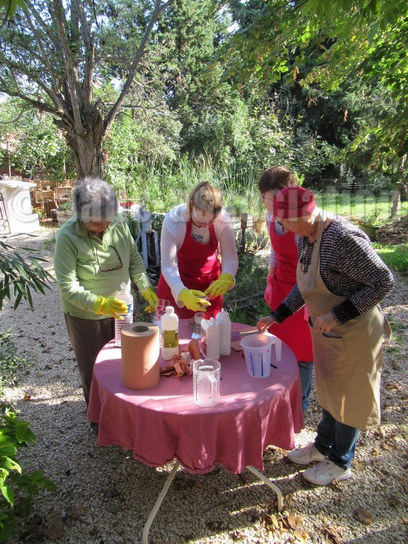 Stage Saponification A Froid